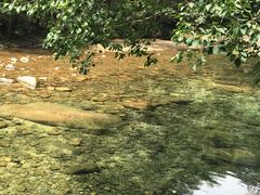 -祁门牯牛降观音堂风景区