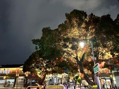 -三坊七巷历史文化街区