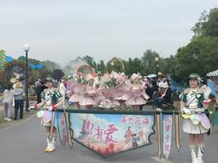 -荷兰花海
