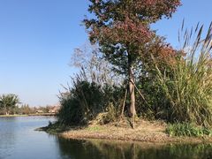 -良渚古城遗址公园