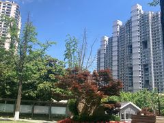 -苏州河梦清园环保主题公园