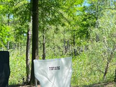 -春花秋色城市公园