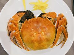 正宗阳澄湖大闸蟹-徐记海鲜(大雁塔|金都店)