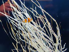 -沈阳海洋探索中心