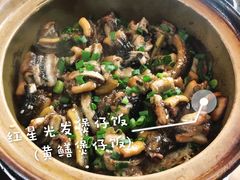 -红星光发煲仔饭(大石街店)