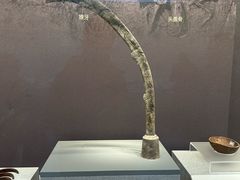 -良渚博物院