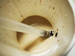 血糯米奶茶-茶百道(昌里路店)