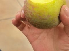 -宠车虎•京安机动车检测场