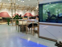大堂-喵园·猫主题咖啡厅·撸猫·猫咖(国贸店)