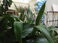 -利顺德大饭店·维多利亚花园(小白楼店)