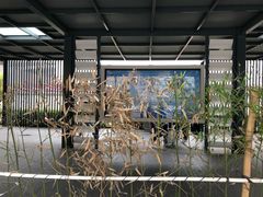 -珠海拱北口岸