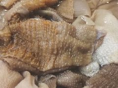鲜毛肚-化龙桥九宫格火锅(清水河店)