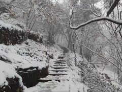 -惠山国家森林公园