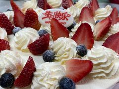 -维尔纳斯·生日蛋糕动物奶油冰淇淋蛋糕(人大店)