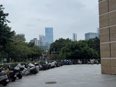 -奈雪的茶(南山大冲一期店)