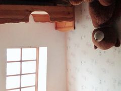 -金山农民画村-枫泾波兰倒置屋