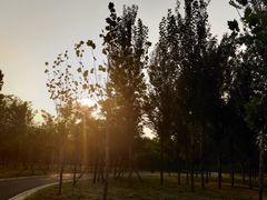 -东郊湿地公园