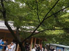 -豆政(金閣寺境内売店)