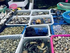-板桥海鲜广场(文明东店)