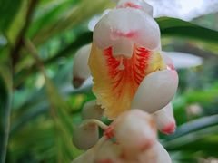 -云溪植物园