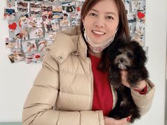 -BABYDOG宝贝狗宠物乐园(欧洲城店)
