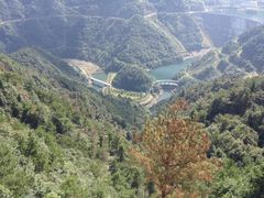 -四明山国家森林公园