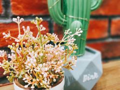 -THE ALLEY 鹿角巷(合生汇店)