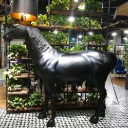 -UPTOP鼎上造型