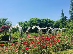 -昆山城市生态森林公园