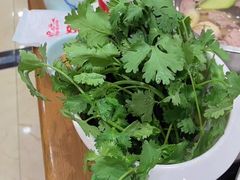 -草原传奇鲜羊火锅(桥北店)