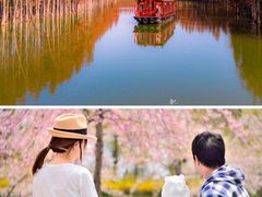 -苏州太湖国家湿地公园