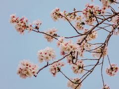 -堤角公园