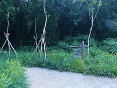 -鬼笑石后山停车场