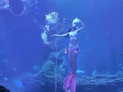 -多彩贵州城极地海洋世界