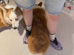 -平行世界·猫咖(首经贸店)