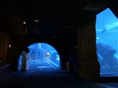 -成都浩海立方海洋公园