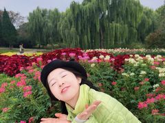 -石家庄市植物园