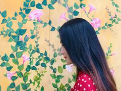 -倒立小屋