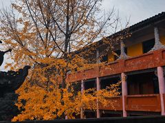 -磁器口古镇
