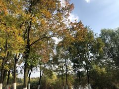 -九里河湿地公园