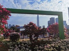 -莲花山公园