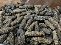 -宫品海参专卖店(静安大宁店)