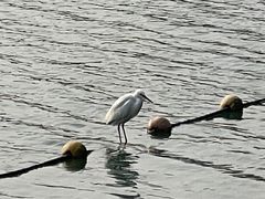 -天鹅湖体育公园