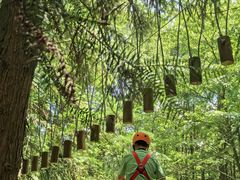 -山王坪喀斯特国家生态公园