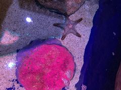-暹罗海洋世界