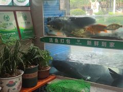 -全乐鱼馆·淳牌有机鱼直营店