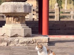 -四门塔风景区