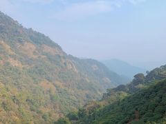 -西湖风景区十里琅珰-五云山