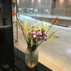 -美壹生诊所皮肤管理中心·海菲秀&Legacy美白舱