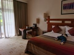 -雅安楠水阁温泉酒店